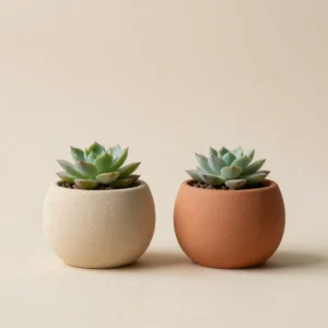 Pebble Planter Pair